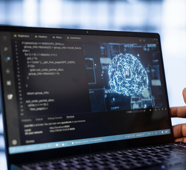Enterprise Software Development and AI Data Visualization